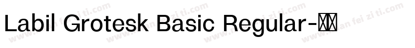 Labil Grotesk Basic Regular字体转换